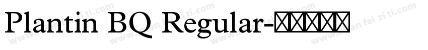 Plantin BQ Regular字体转换